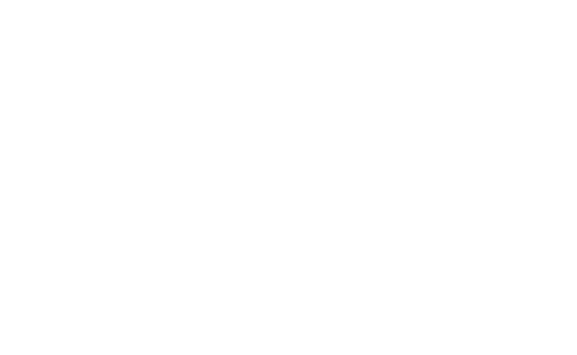 The Norin Logo